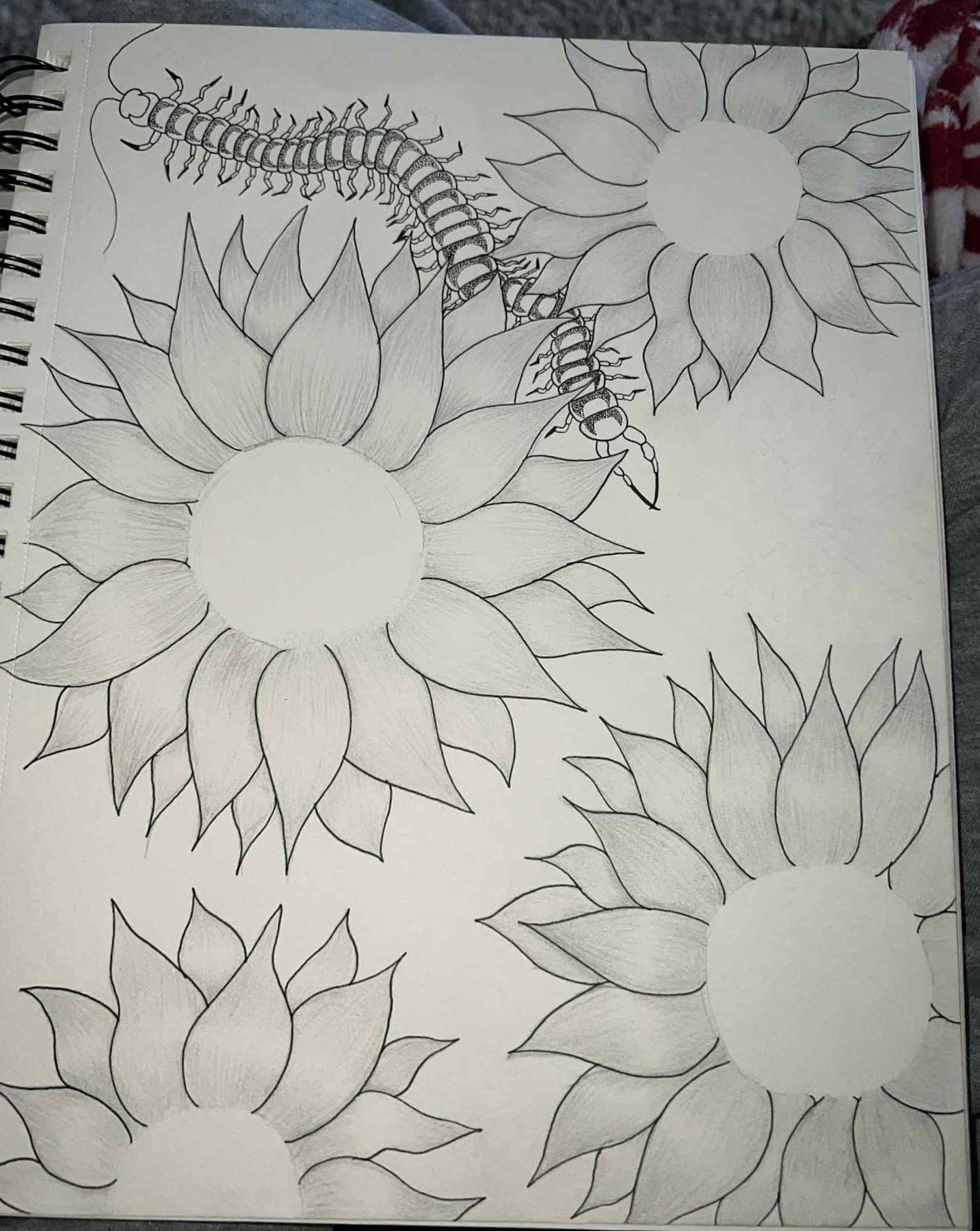 Sunflowers with centipede