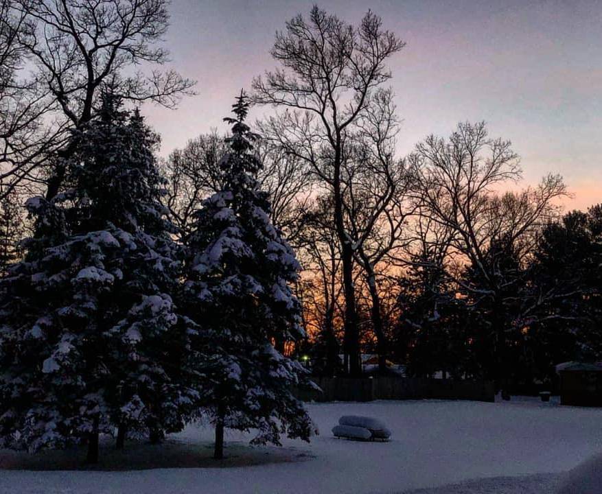 Describe the cropped result